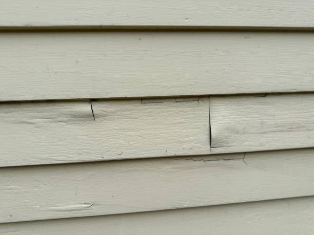 Reliable Vardaman, MS Siding Solutions